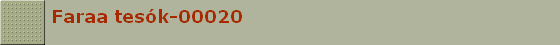 Faraa tesk-00020