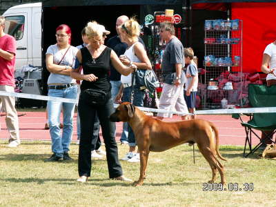 Debrecen CACIB 020