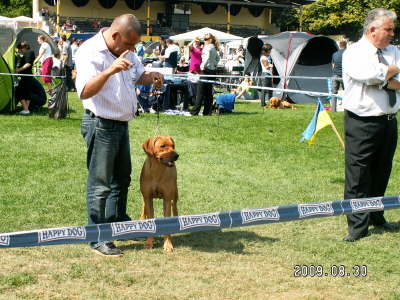 Debrecen CACIB 023