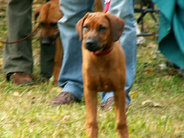 Faraa-00084