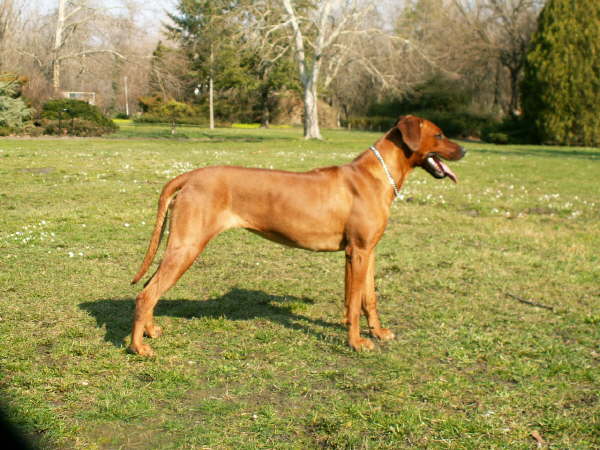 Faraa-00108