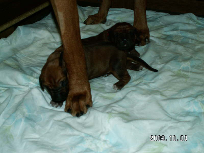 PICT0025