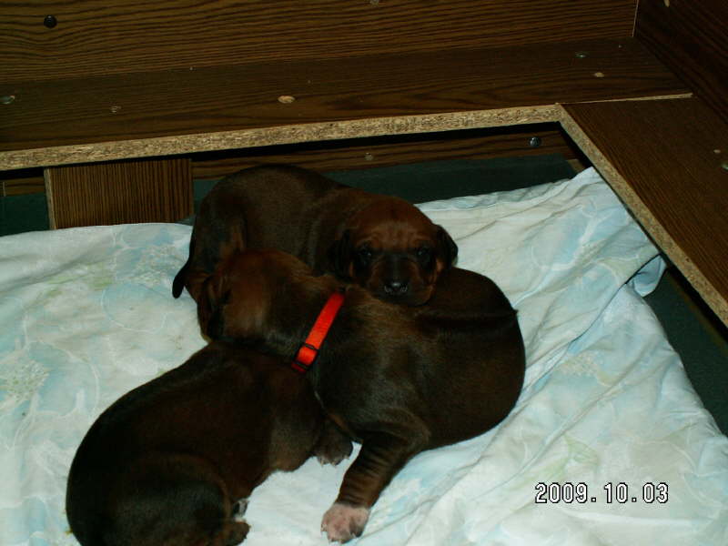 PICT0035
