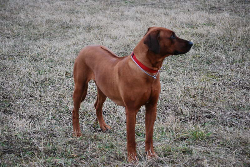 Sta 09-02-28 067