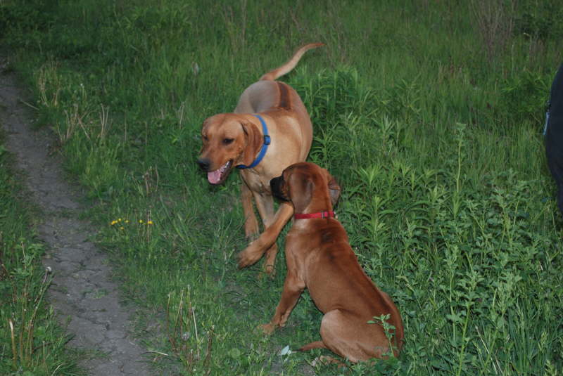 Sta 09-05-04 058